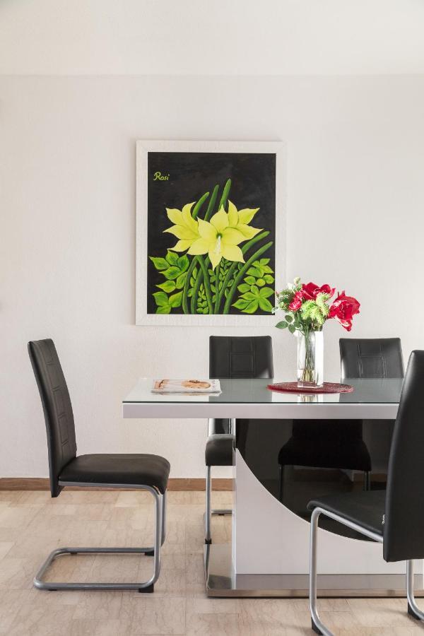 Villa Amaryllis Labin  Exteriér fotografie
