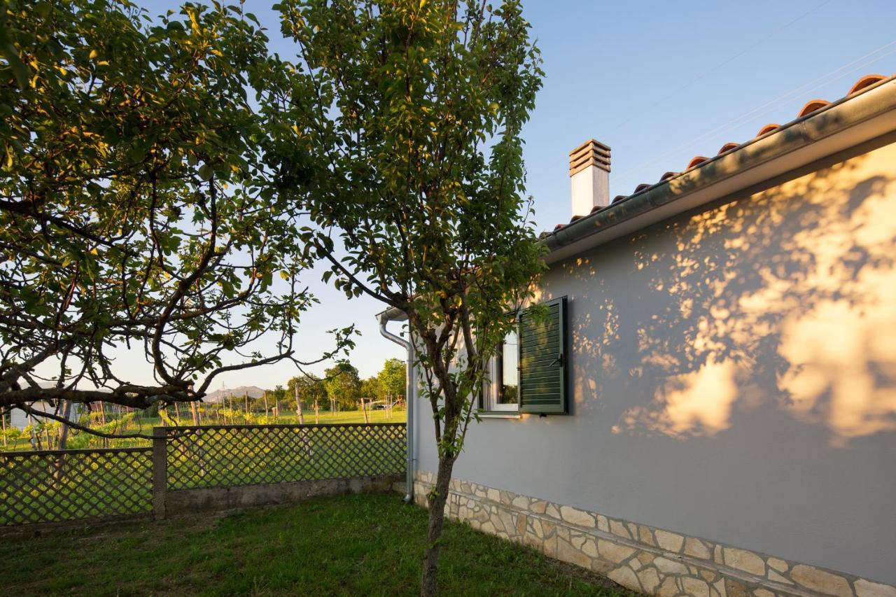 Villa Amaryllis Labin  Exteriér fotografie